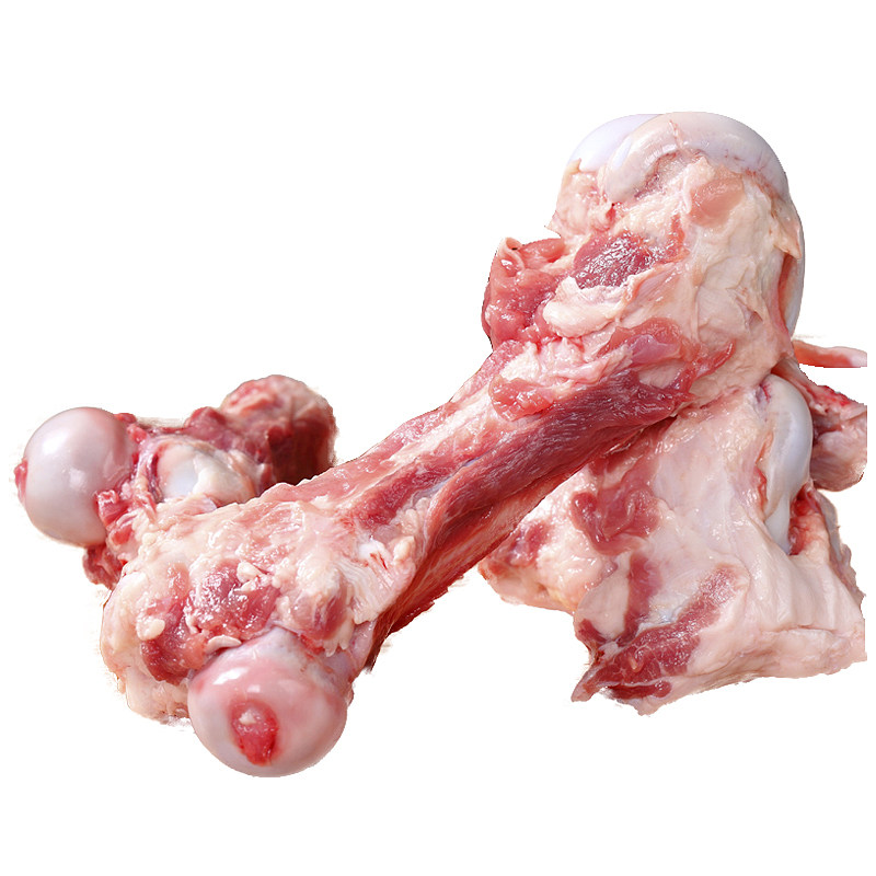 Osso do fêmur carnudo